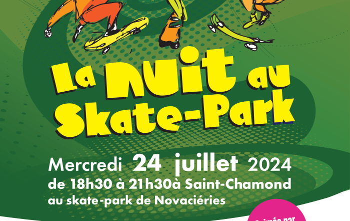 ceci est l'affiche de la Nuit au Skate-Park
