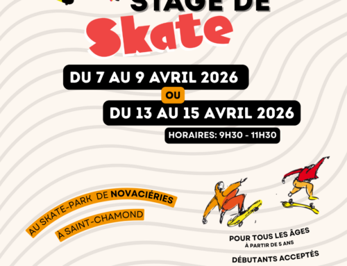 Stage de skate